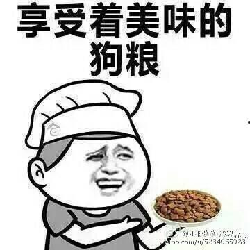 卖狗粮表情包,萌宠美食界的趣味解读